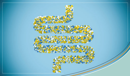 Benefits of lactobacillus - A closer look at lactobacillus plantarum & lactobacillus rhamnosus