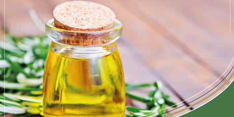 What is Oregano Oil? | Uses, Benefits & Side Effects